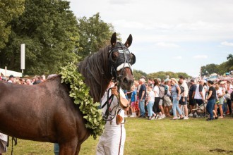 Stover Rennen 2025 – Impression 17