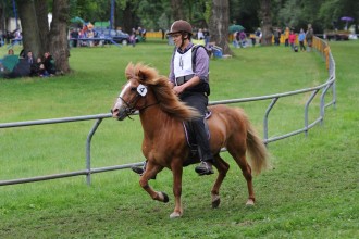 Impressionen vom Rennen 2015