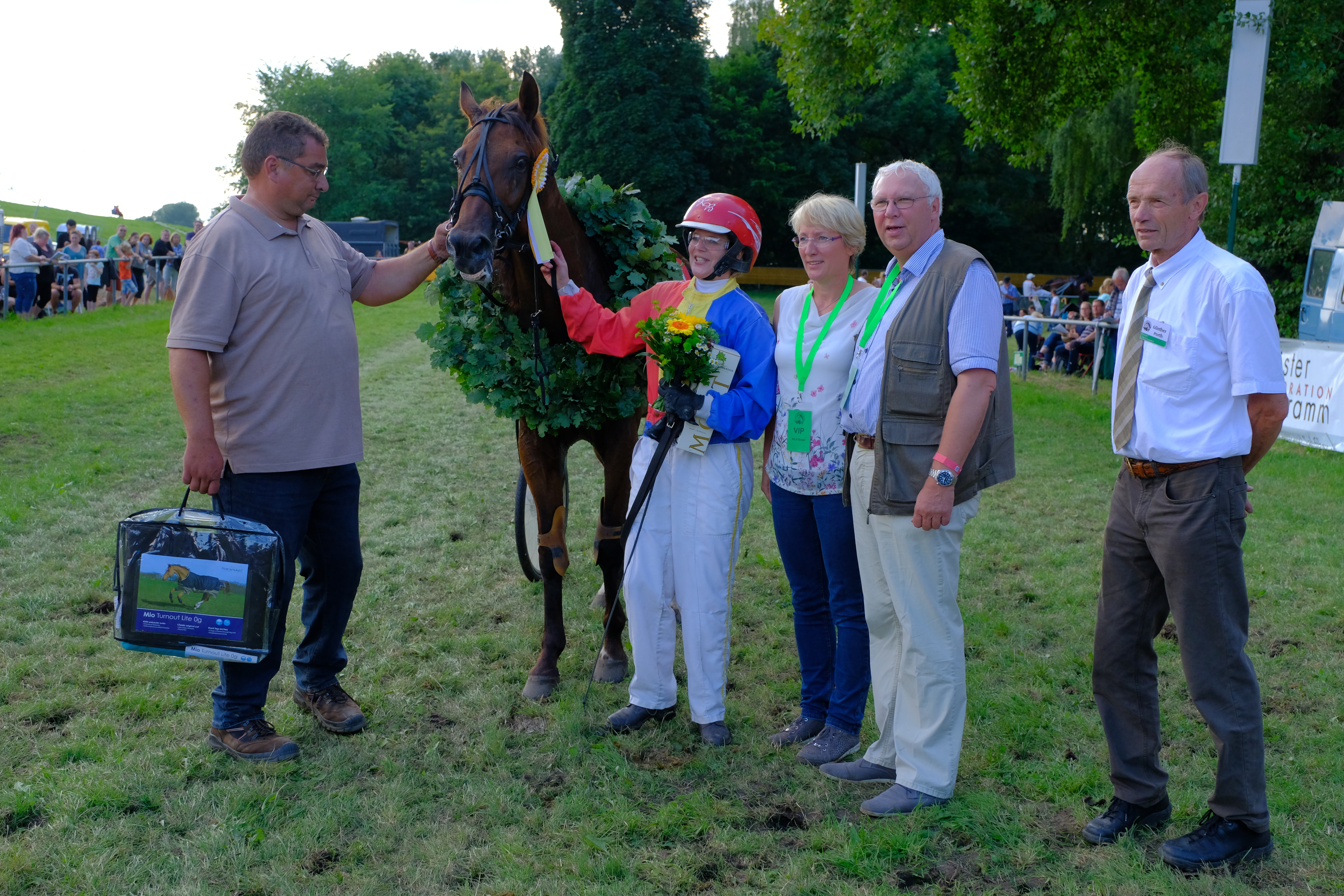 Gentleman As (Katie Beer, Besitzer: Jens Oetken)