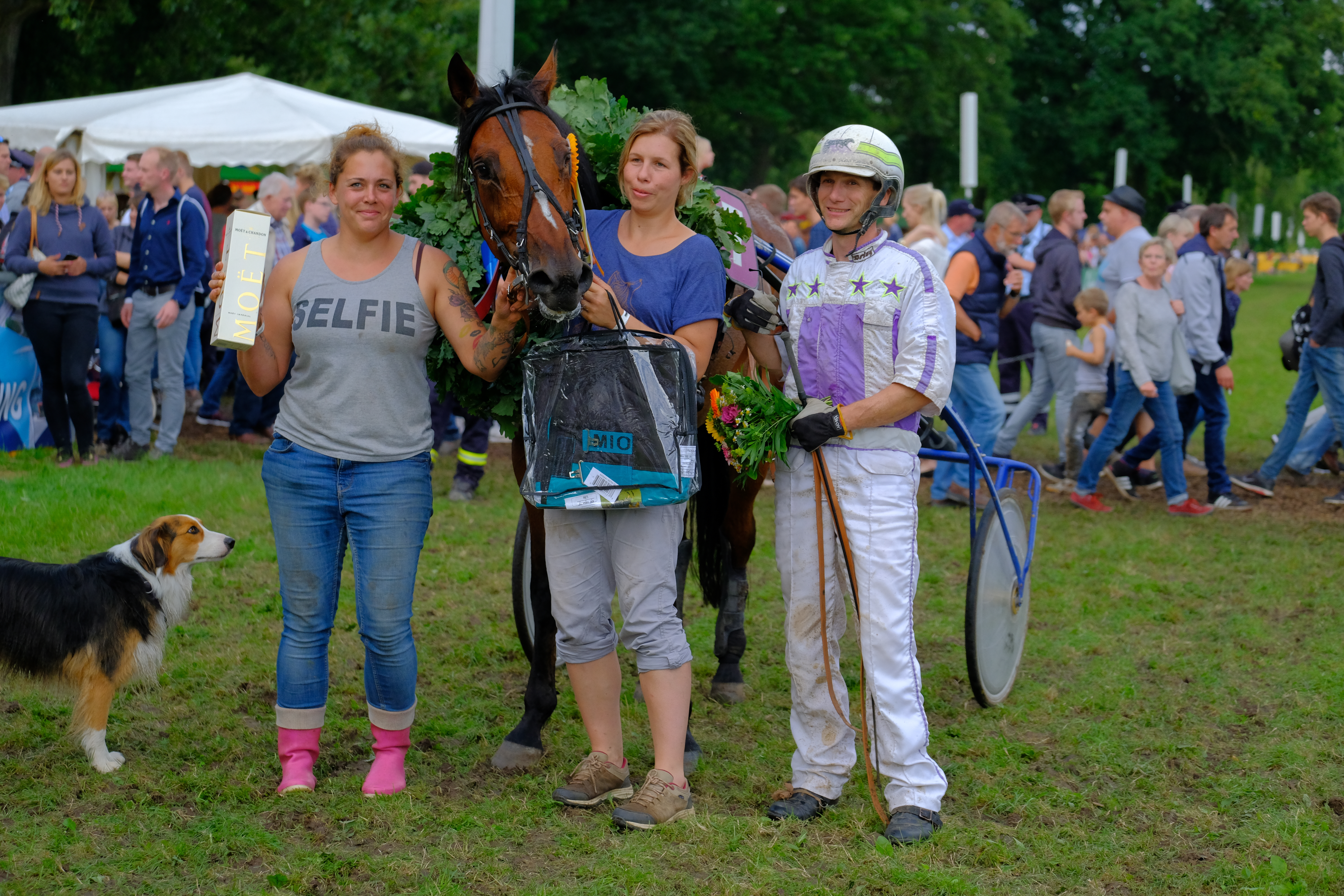 Höwings Turbo Tom (Stefan Dahl, Besitzer: Frank+Sabine Koza)